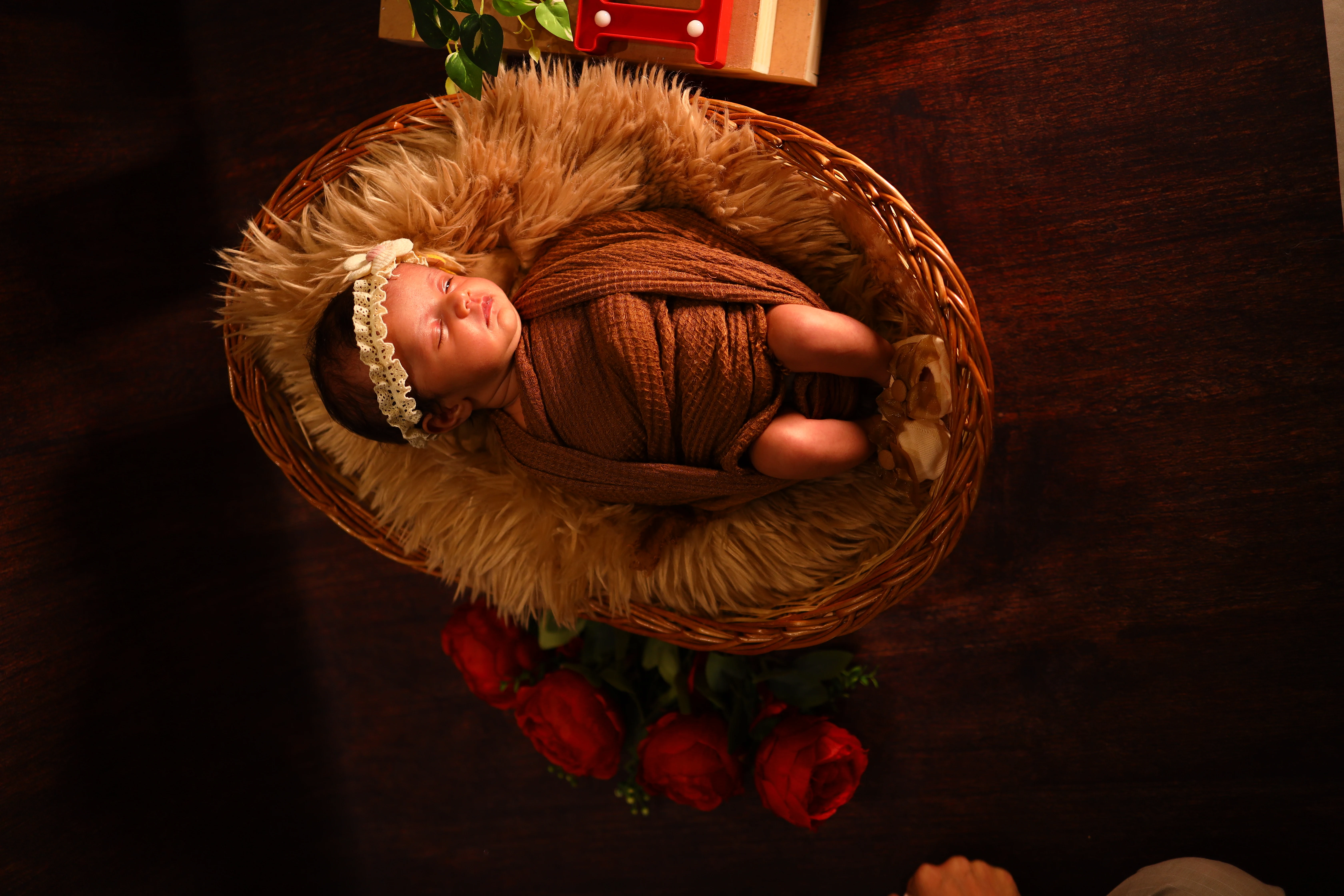 Newborn overhead photography Studio79