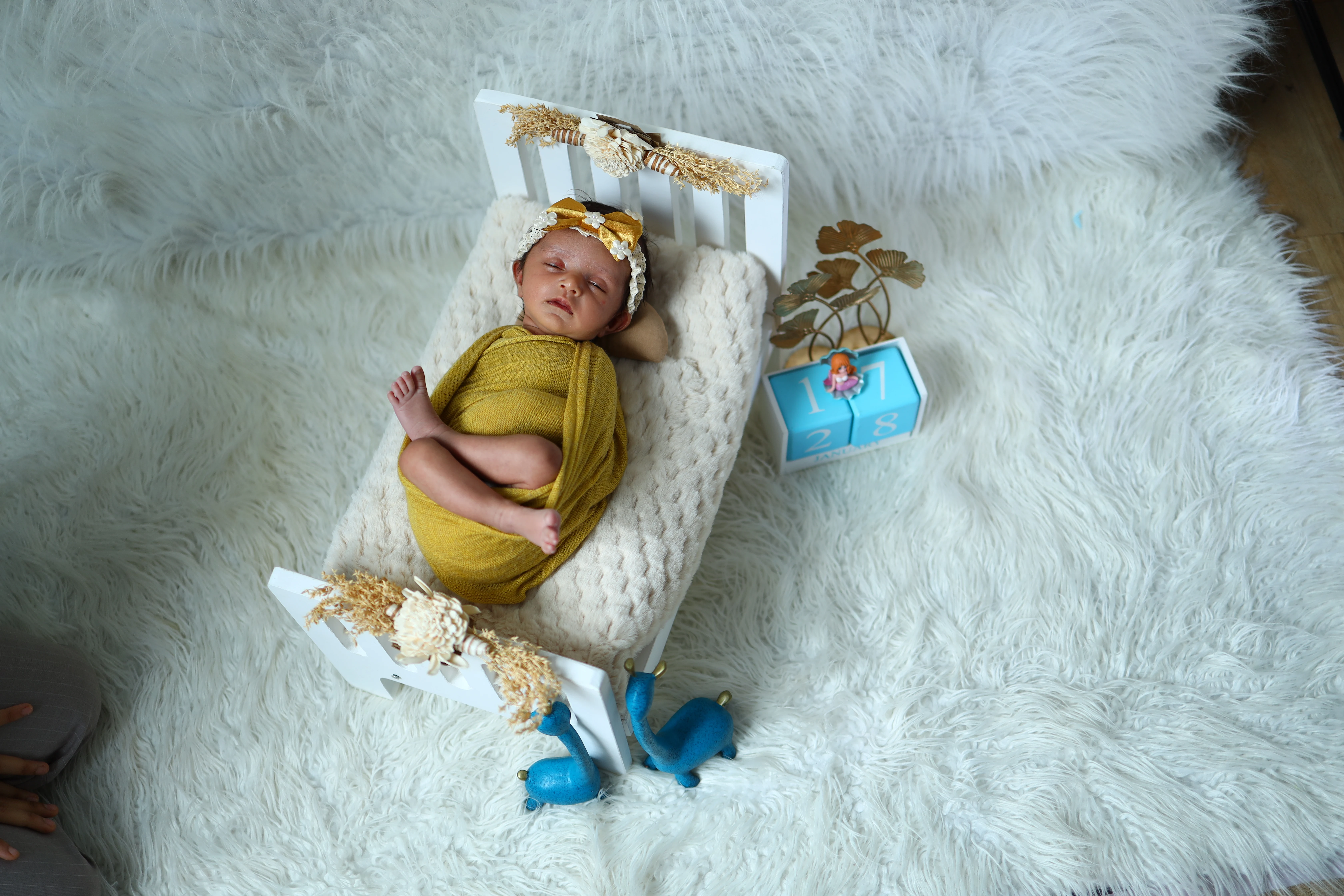 Newborn photography overhead Virar